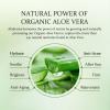 All Purpose Aloe Vera Gel Set – 2 Pieces – Skin Hydrator, 300g Aloe Vera Gel + Tea Tree Oil