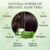 Aloderma Aloe Nourishing Body Wash 16oz – Fresh, Organic Aloe Vera Based (No Water Added) For All Skin Types + Moisturizing Shea Butter & Allantoin for Naturally Soft, Hydrated, & Nourished Skin(Shampoo – Nourishing)