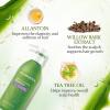 Aloderma Aloe Nourishing Body Wash 16oz – Fresh, Organic Aloe Vera Based (No Water Added) For All Skin Types + Moisturizing Shea Butter & Allantoin for Naturally Soft, Hydrated, & Nourished Skin(Shampoo – Oil Controlling)