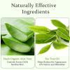 Aloderma Organic Aloe Vera Gel for Skin + Tea Tree Oil, Made within 12 Hours of Harvest, Soothing Pure Aloe Vera Gel for Face, Works Great for Oily Skin, Dry Scalp, Aftershave, Natural Aloe – 10.6 Oz(3)