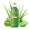 Aloderma Aloe Nourishing Body Wash 16oz – Fresh, Organic Aloe Vera Based (No Water Added) For All Skin Types + Moisturizing Shea Butter & Allantoin for Naturally Soft, Hydrated, & Nourished Skin(Shampoo – Nourishing)