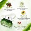 Aloderma Firming Cream for Face and Neck with 62% Organic Aloe Vera – Firming Face Cream with Hyaluronic Acid & Carnosine – Natural Renewing Aloe Face Cream – Instantly Hydrate & Plump Skin, 1.7oz(Firming Eye Cream)