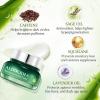 Aloderma Firming Cream for Face and Neck with 62% Organic Aloe Vera – Firming Face Cream with Hyaluronic Acid & Carnosine – Natural Renewing Aloe Face Cream – Instantly Hydrate & Plump Skin, 1.7oz(Brightening Eye Cream)