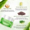 Aloderma Firming Cream for Face and Neck with 62% Organic Aloe Vera – Firming Face Cream with Hyaluronic Acid & Carnosine – Natural Renewing Aloe Face Cream – Instantly Hydrate & Plump Skin, 1.7oz(Hydrating)