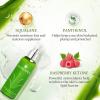 Aloderma Organic Aloe Botanical Hydrating Mister – Made within 12 Hours of Harvest to Soothe & Moisturize, Lightweight Fine Mist Facial Spray – Refresh & Hydrate Skin Through the Day, 120ml/4.23Oz(6)