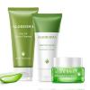 Aloderma Aloe Oil Controlling Set, 3 pcs – Aloe Clearing Facial Gel, Oil Controlling Cleanser, Hydrating Cream