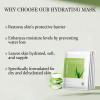 Aloderma Aloe Sheet Mask 2 Pack – Hydrating Mask, Firming Mask