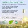 Aloderma Aloe Volumizing Set – Volumizing Shampoo, Nourishing Body Wash