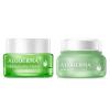 Aloderma Aloe Face Cream Set, 2 pieces – Hydrating Cream, Soothing Cream