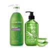 Aloderma Aloe Hair & Body Care Set – Oil Controlling Shampoo, Aloe Vera Gel + Tea Tree Oil 300g