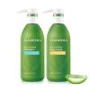 Aloderma Aloe Volumizing Set – Volumizing Shampoo, Nourishing Body Wash